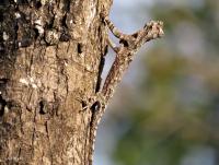 post-12069-0-96460700-1416639810_thumb.j