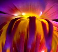 post-141067-0-28220200-1415947788_thumb.