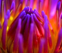 post-141067-0-79542500-1415947877_thumb.