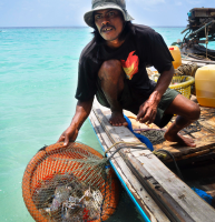 post-141067-0-80529100-1415016693_thumb.