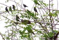 post-146250-0-07005500-1415413393_thumb.