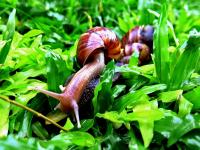 post-146250-0-09149500-1415595720_thumb.