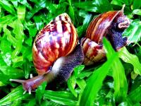 post-146250-0-98639400-1415595700_thumb.