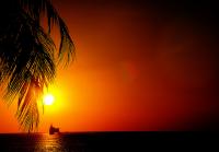 post-146818-0-71450500-1414987985_thumb.