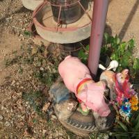 post-175700-0-96471800-1416628231_thumb.