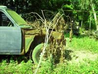 post-175700-0-96726600-1414904050_thumb.