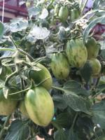 post-184243-0-19054900-1417065330_thumb.