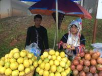 post-190508-0-00210600-1416115047_thumb.