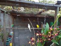 post-32351-0-32201600-1416621872_thumb.j