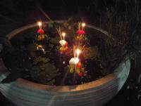 post-32351-0-32282500-1415276199_thumb.j