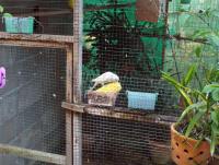 post-32351-0-45321400-1416621808_thumb.j