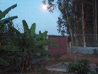 post-32351-0-57015000-1415271994_thumb.j