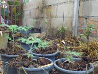 post-32351-0-98754800-1417064925_thumb.j