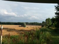 post-34599-0-14242100-1415139073_thumb.j