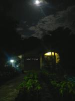 post-37242-0-05422800-1415300191_thumb.j