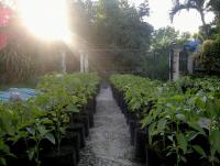 post-37242-0-76903200-1415909787_thumb.j