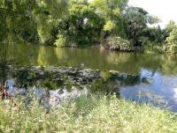 post-37242-0-85015400-1415907596_thumb.j