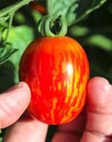 post-37242-0-91346900-1417152605_thumb.j