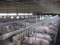 post-44389-0-15050900-1416799380_thumb.j