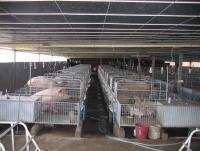 post-44389-0-76113300-1416799435_thumb.j