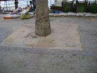 post-56220-0-93889500-1416639446_thumb.j