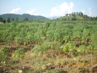 post-87221-0-27436700-1416466433_thumb.j