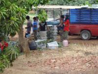 post-87221-0-30574400-1417319829_thumb.j