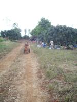 post-87221-0-36636200-1417319909_thumb.j