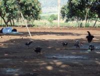 post-87221-0-68972700-1416888939_thumb.j