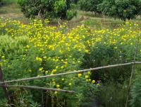 post-87221-0-96243900-1416703614_thumb.j