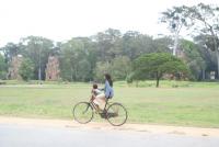 post-93078-0-20806200-1415862194_thumb.j