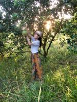 post-93078-0-21389900-1414992595_thumb.j