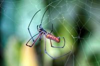 post-93078-0-30551000-1415860940_thumb.j