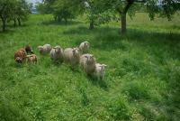 post-93078-0-55210100-1416289636_thumb.j