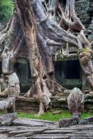 post-93078-0-58594200-1415862500_thumb.j