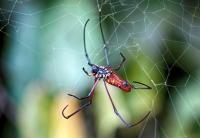 post-93078-0-72601200-1415860961_thumb.j