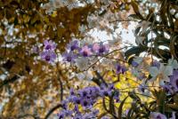 post-93078-0-81697300-1415108405_thumb.j