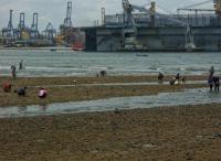 post-93078-0-92165600-1415108544_thumb.j