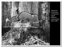 post-9958-0-38493800-1416025433_thumb.jp