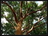 post-9958-0-72266400-1416025596_thumb.jp