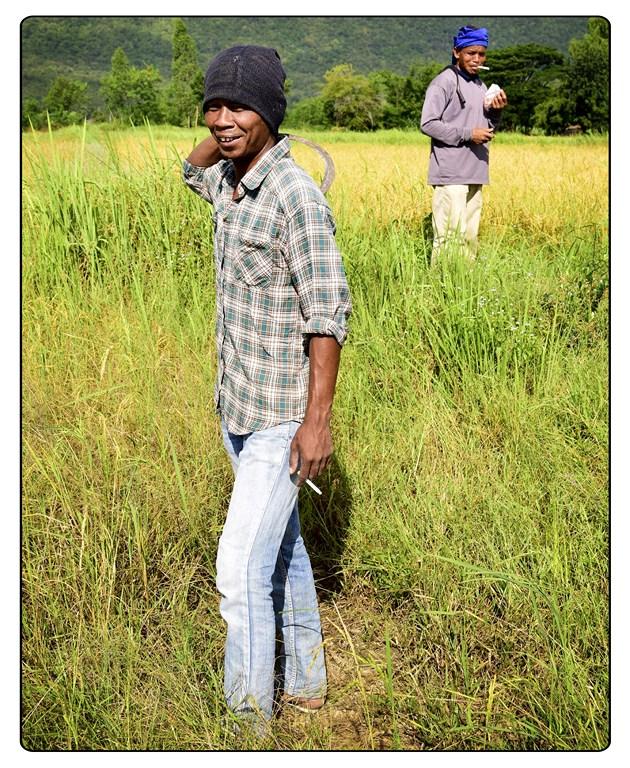 post-141067-0-18257300-1448534895_thumb.