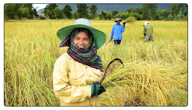 post-141067-0-25958500-1448839822_thumb.