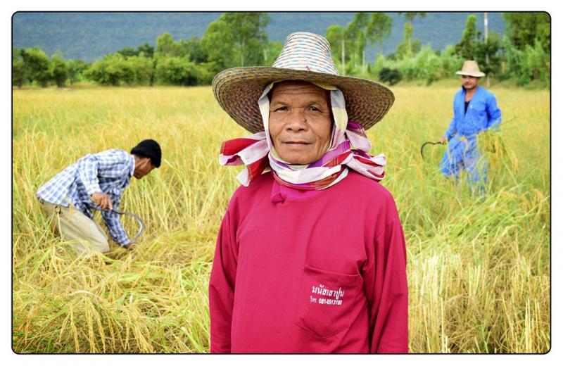 post-141067-0-41643200-1448348648_thumb.