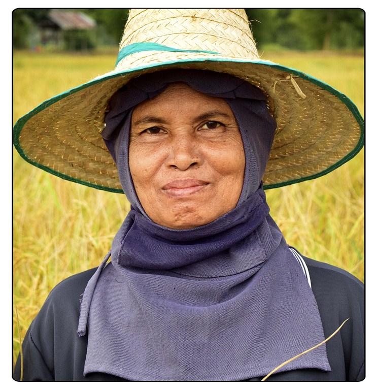 post-141067-0-58584000-1448752565_thumb.