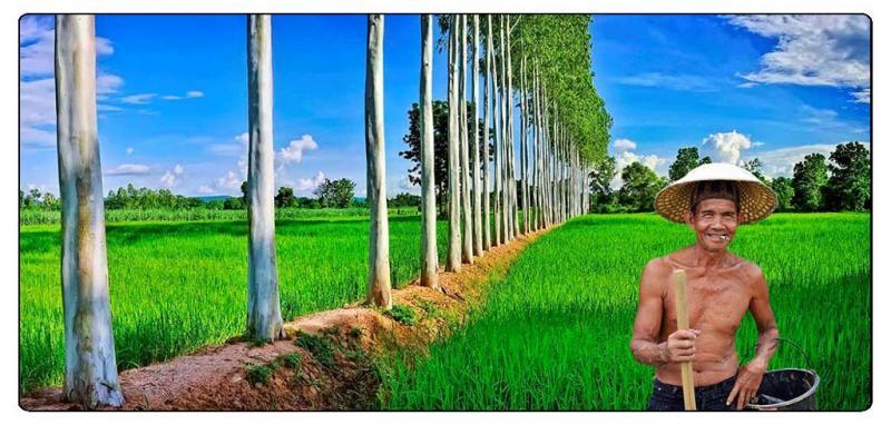 post-141067-0-66918300-1447328359_thumb.