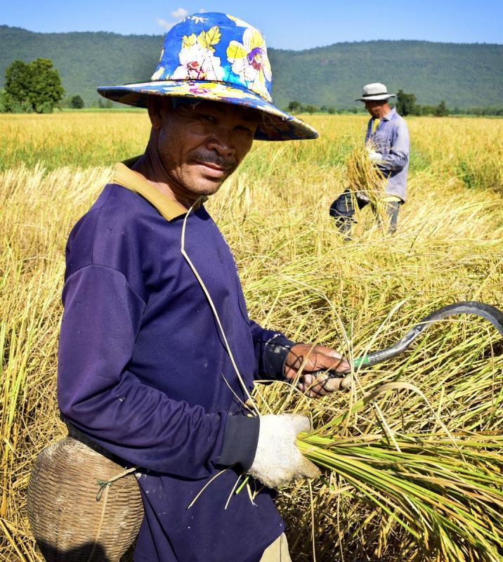 post-141067-0-86726000-1448070764_thumb.