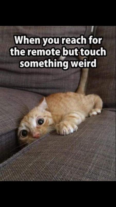 post-155756-0-30750000-1447932660_thumb.