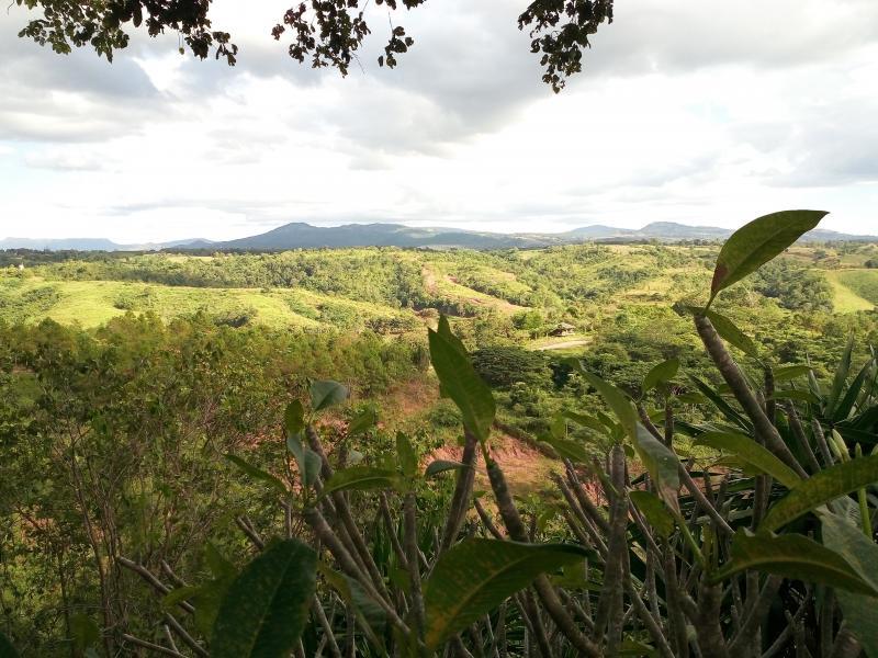 post-167660-0-06689900-1448620206_thumb.