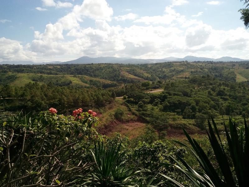 post-167660-0-57794700-1448620344_thumb.