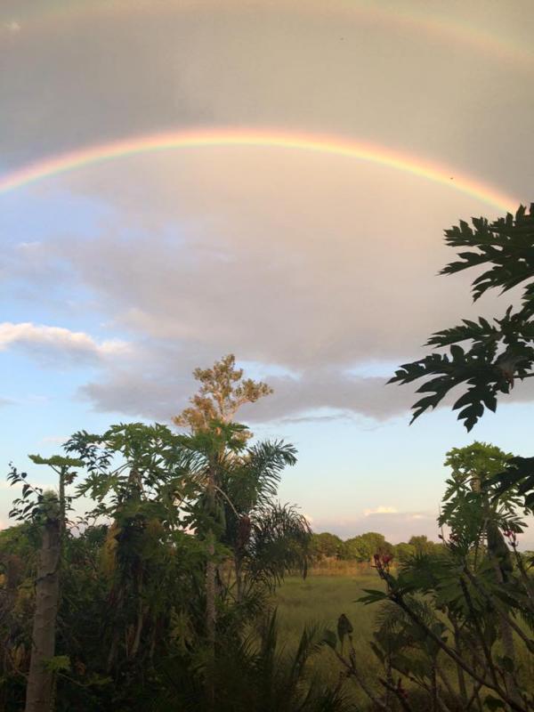 post-190508-0-38416200-1447895702_thumb.